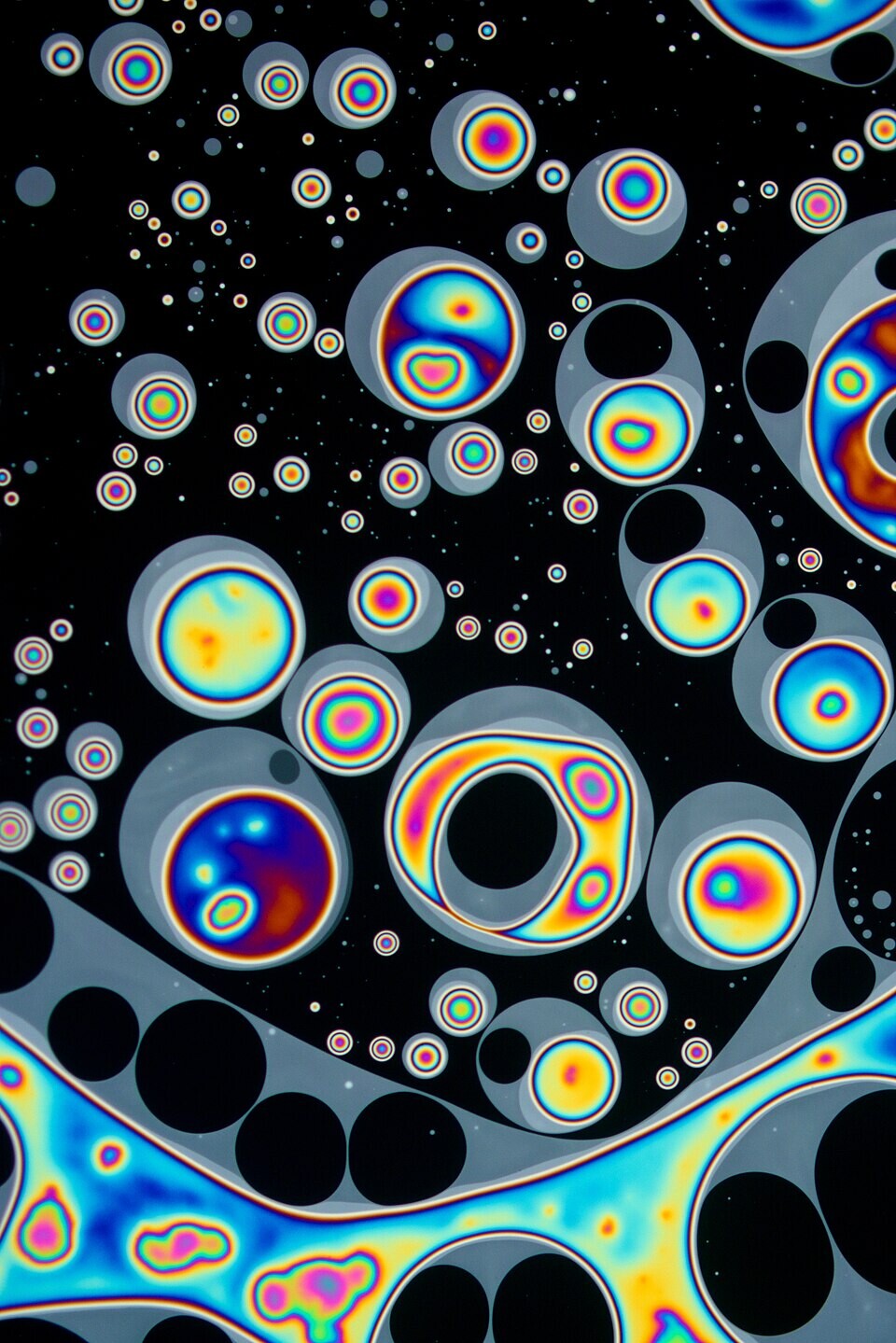 A close-up image of the surface of a soap bubble. The image reveals "lipid islands" of soap floating on a very thin film of water. The film on which the soap floats is so thin that it does not interfere with the light hitting it, therefore allowing the light to pass through. This creates an appearance of a black abyss. Magnification x250.